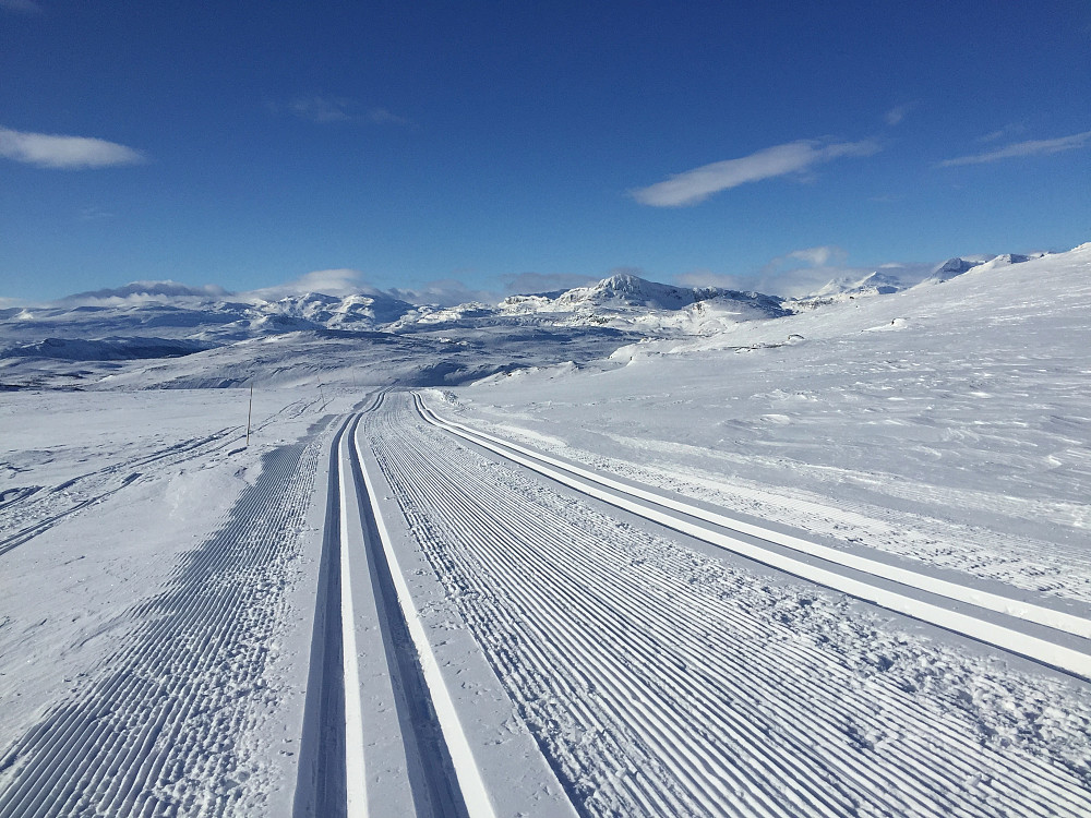 Skiløype Rød 3 like ved toppen av Stryteberg (1310 m).