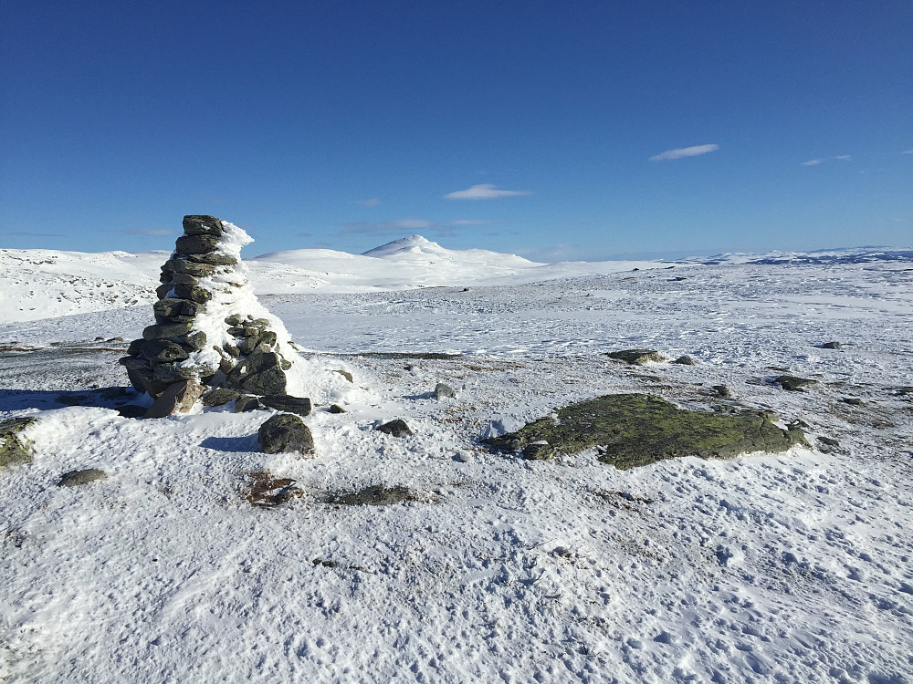 Toppvarden på Stryteberg (1310 m). Skaget i bakgrunnen.