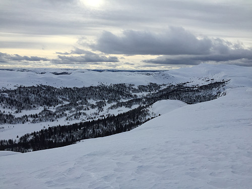 Langehallfjellet (1177 m) med utsikt mot sydvest til Bjødalen og Nystølfjellet.