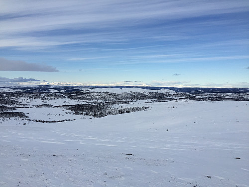 Langehallfjellet (1177 m) med utsikt nordover.
