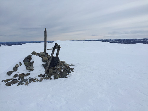 Toppvarden på Bjødalskampen (1158 m).