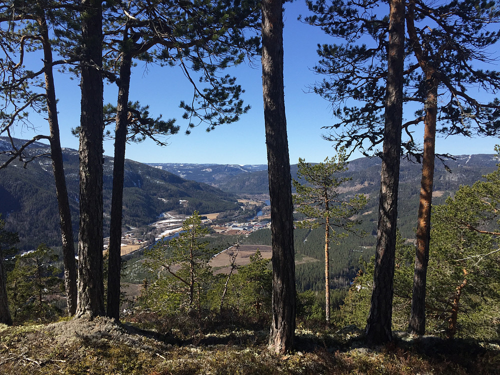 Fra Puttekollen (509 m) med utsikt vestover Begnadalen.