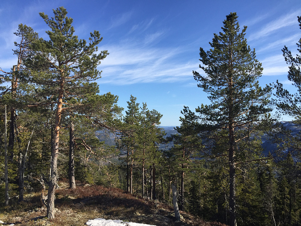På toppen av Midtknatten (667 m).