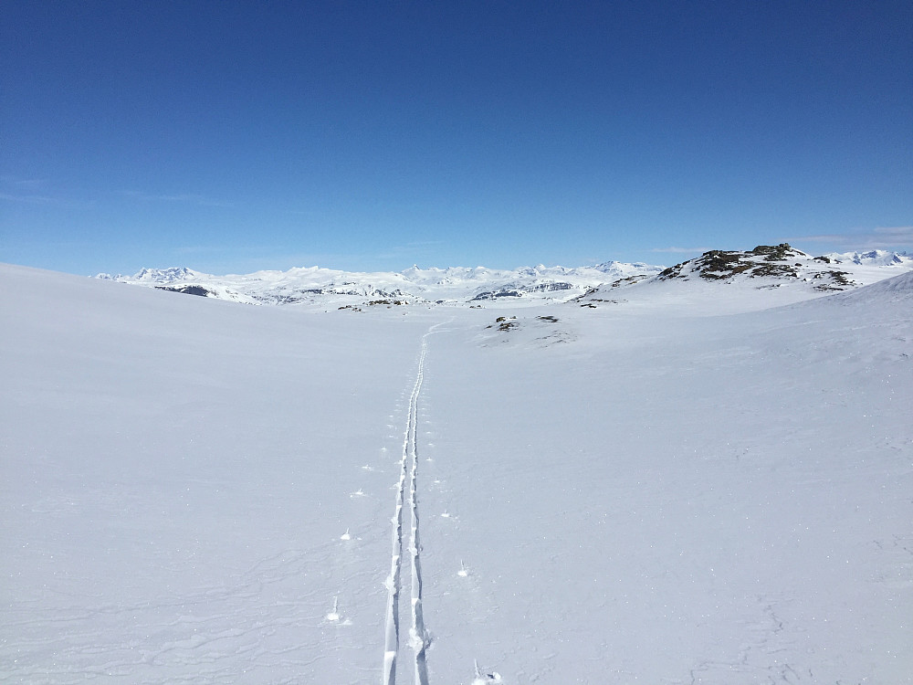 Enkelte steder på turen var det flott skiføre! Her fra løypen over Steinurde med Jotunheimen i bakgrunnen.