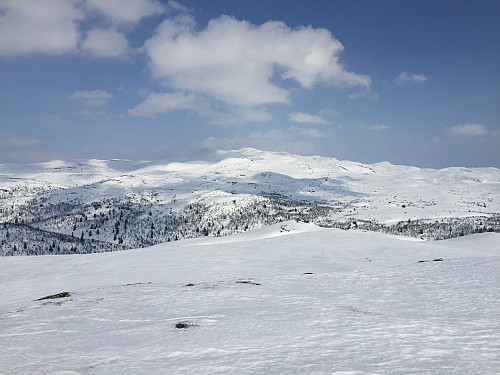 Fra toppen av Bjørnehalli (1154 m) mot Spåtind (1414 m).
