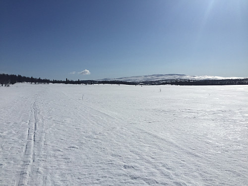 På skiløypen vest for Lenningen.