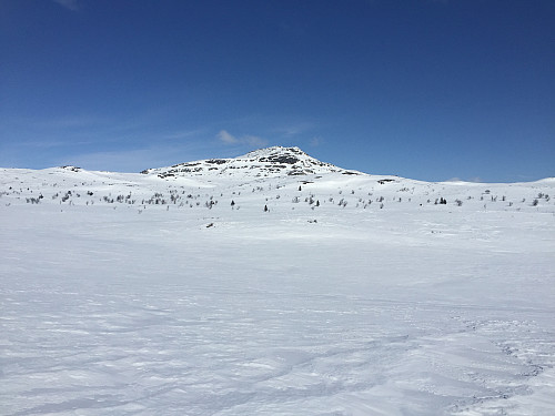 Djuptjernkampen (1325 m).