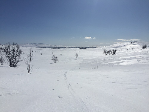På vei mot Djuptjernkampen (1325 m).