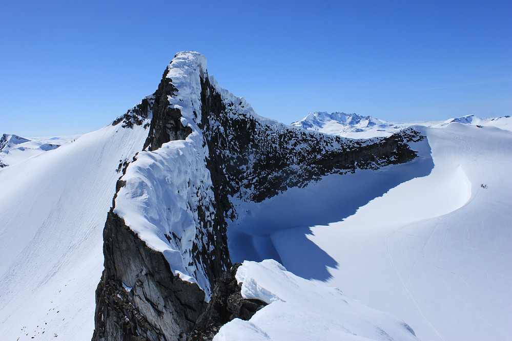 Fra Bjørnungen (2110 m) mot Veslebjørn (2150 m). Hurrungane i bakgrunnen.