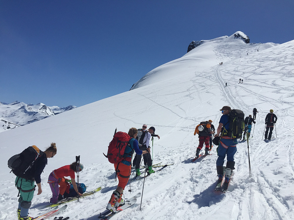 Her setter vi på fellene igjen og gjør oss klar til siste bakken opp til Storebjørn (2222 m).
