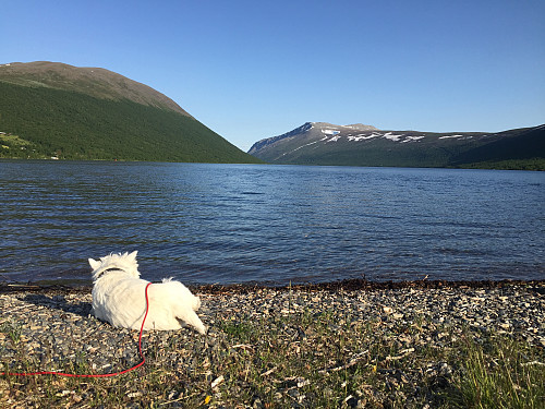 Ved nordenden av Helin med utsikt mot Gilafjellet (1582 m) til venstre og Gråskarvet (1731 m) til høyre.