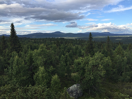 Utsikt mot Djuptjernkampen (1325 m) fra Skardshøgde sør (1007 m).