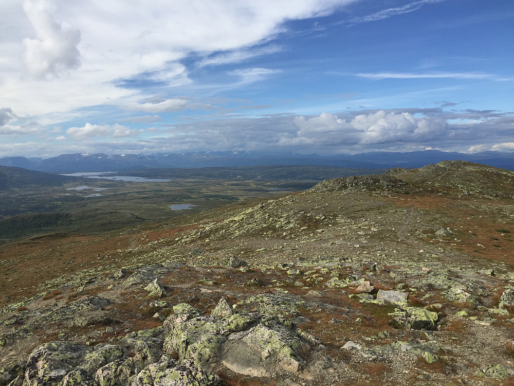 På toppen av Grønsennknippa (1370 m).