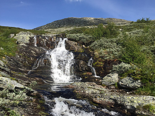 Stien til Skjøld går langs Storstølåne frem til man er oppe på Bergsfjellet.