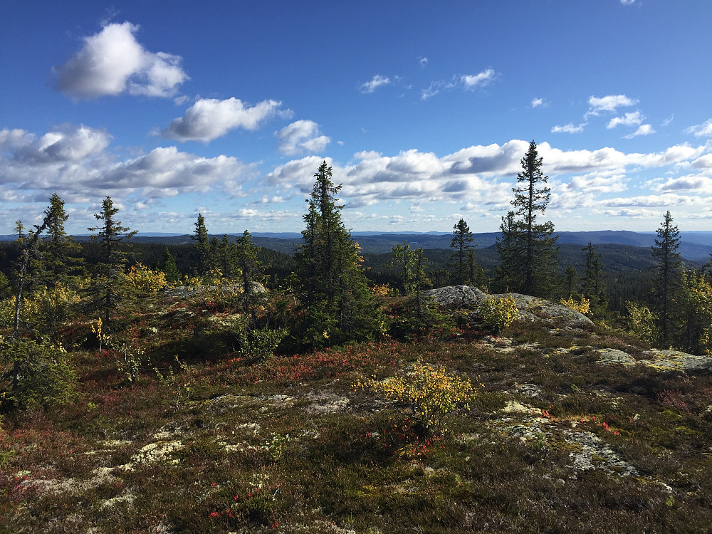 På Høgberget (827 m). Utsikt mot øst.