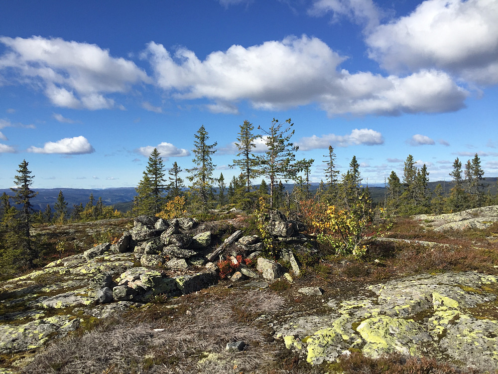 Toppen av Høgberget (827 m). 