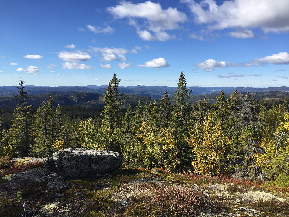 På Høgberget (827 m). Utsikt mot vest.
