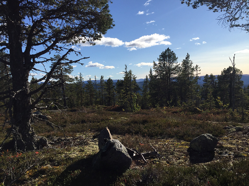 En liten bålplass ved toppen av Svarttjernbrenna (764 m).