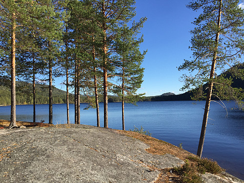 Ved Søre Buvatnet (318 m).