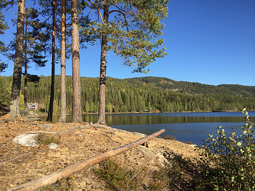 Ved Søre Buvatnet (318 m).