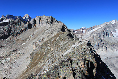 Fra Sparrhorn (3021 m) og ryggen videre mot Nesthorn (3821 m).