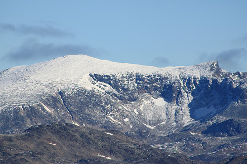 Surtningssue fra Høgbrøthøgde (1821 m).
