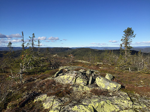 På toppen av Langtjernåsen (828 m).