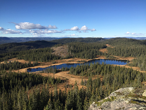 På toppen av Langtjernåsen (828 m). Utsikt nordvestover mot Langtjernet (736 m).