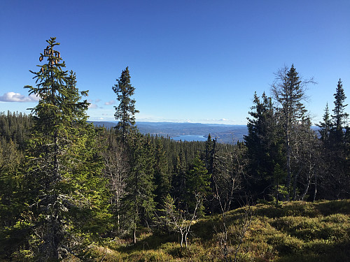 Fra Langtjernåsen mot Sperillen.