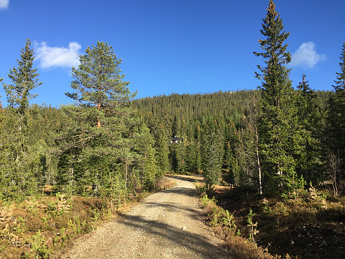 Ved enden av veien opp mot Fetjarsætra. Langtjernåsen (828 m) i bakgrunnen.