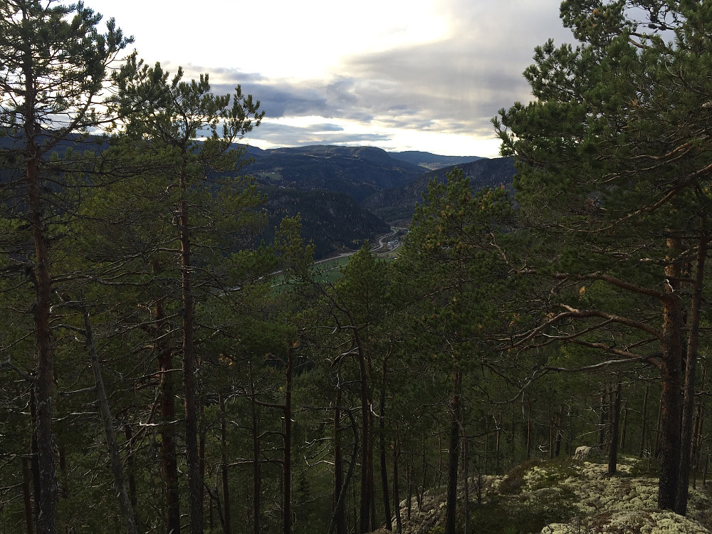Fra Fønnhusknatten (541 m) med utsikt nordover mot Begnadalen.