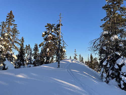 På toppen av Tjuvhanskollen (760 m).