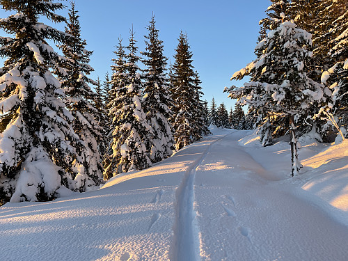 Skispor på den gjensnødde veien nedenfor Tjuvhanskollen (760 m).
