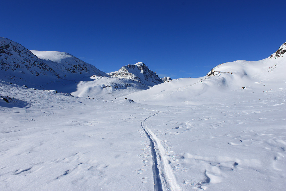 Skispor innover Leirungsdalen. Munken rett i front.