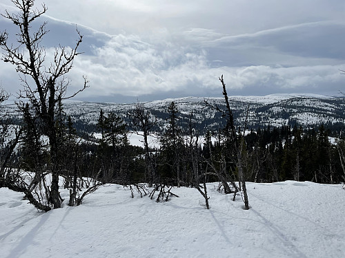Utsikt mot syd fra Vest for Makalausfjellet (1004 m).