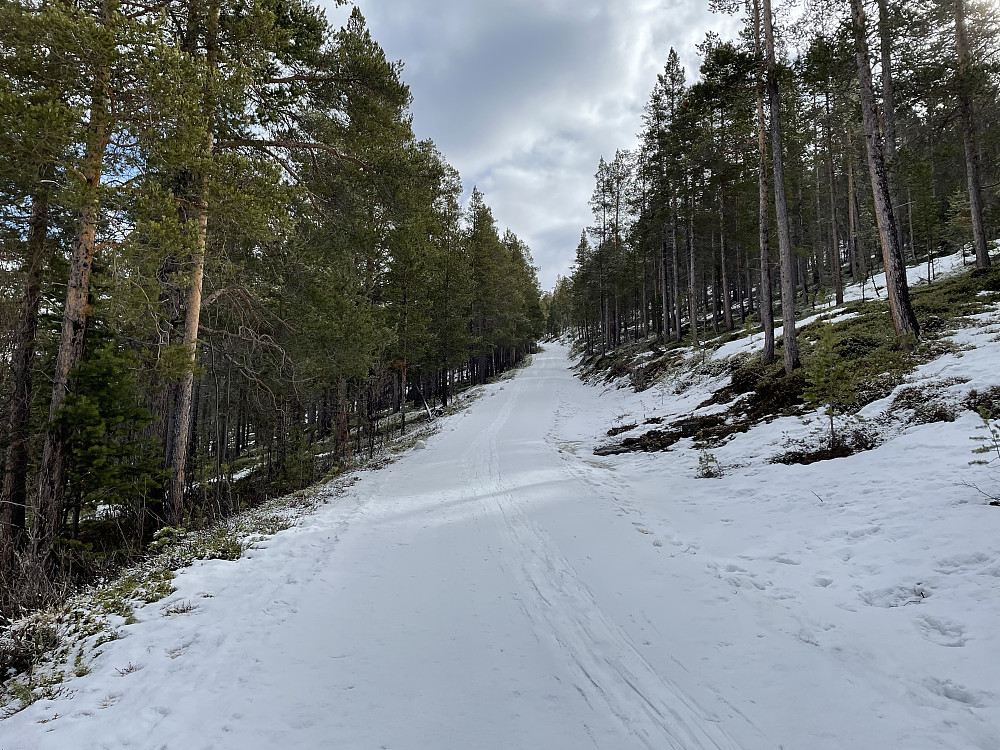 På stølsveien opp til Skjellom.