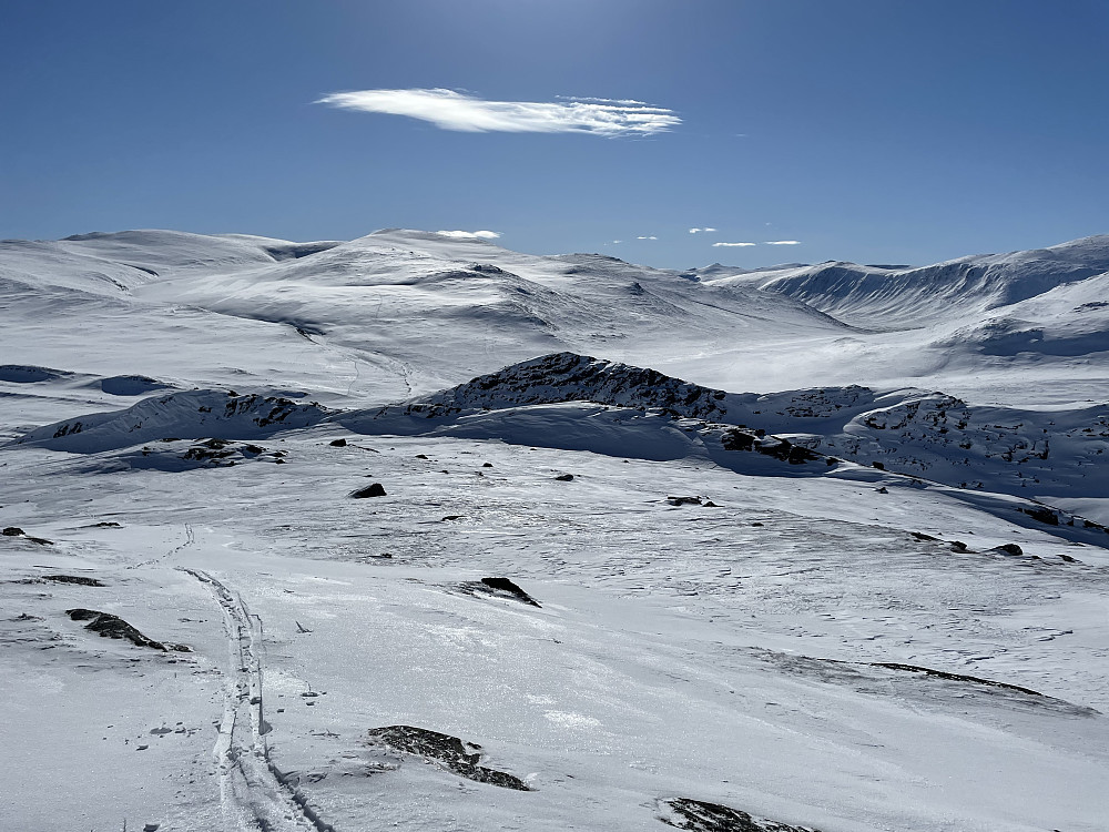 Utsikt mot syd fra Såleggje (1540 m). Kvitingskjølen til venstre og Smådalen til høyre.