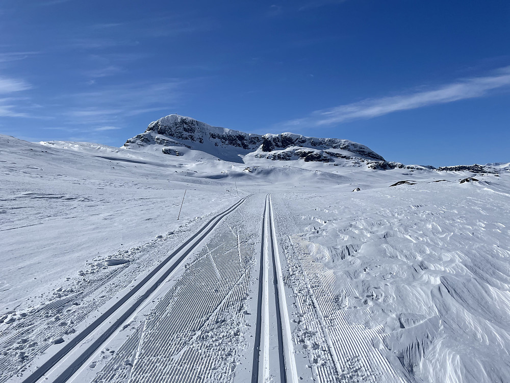 Mot Bitihorn fra skiløype Rød 2.