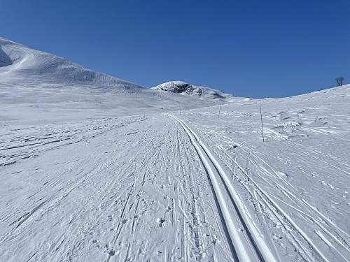 Fra skiløypen mellom Bygdin og Ole.