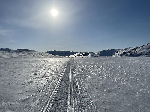 På returen over Olefjorden.