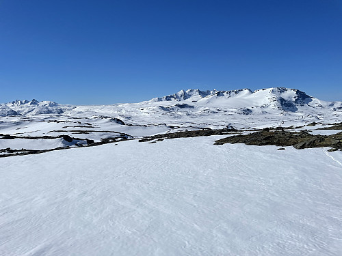 Utsikt sydover fra Krosshøe (1527 m) mot Fannaråken.