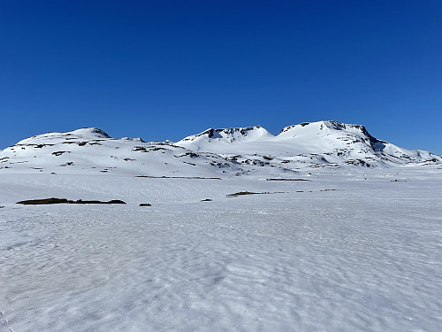 På Sognefjellet med utsikt mot dagens først topp Rundhaugan (1581 m) til venstre.