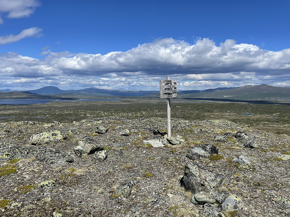 På toppen av Hundfethøa (1019 m). Utsikt mot øst.