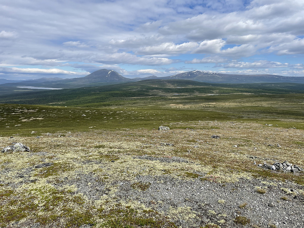 Fra Skardfjellet (1159 m) mot nord. Heidalsmuen til venstre.