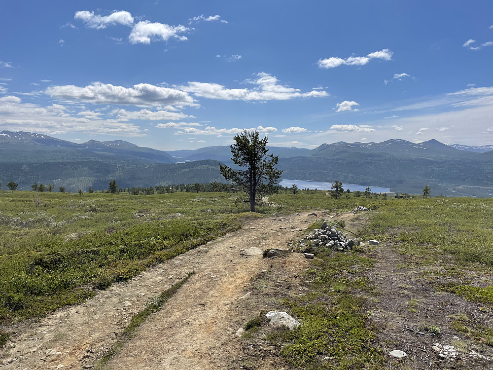 Bred sti på Skardfjellet.