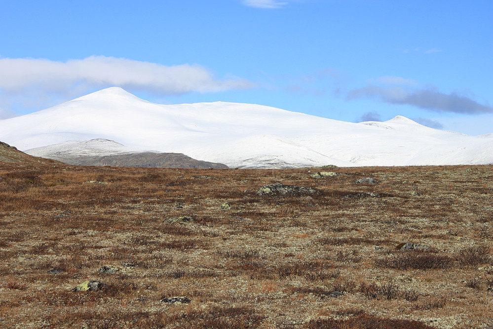 Nautgardstinden (2258 m.o.h.) sett fra østenden av Bessvatnet (1373 m.o.h.).