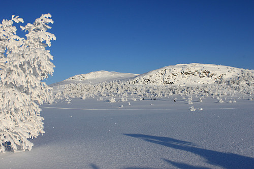 Nørre (1123 m.o.h.) og Midtre Knausehøgdi vinterstid.