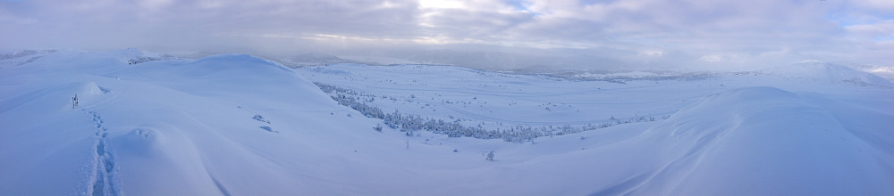 Panoramautsikt fra toppen av Nørre Knausen (1123 moh).