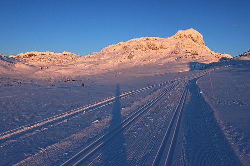 Bitihorn (1607 moh) sett fra skiløype Rød 2 ved Smørkoll.