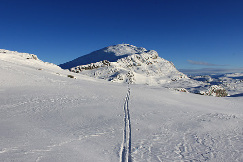 På vei mot Bitihorn (1607 moh).